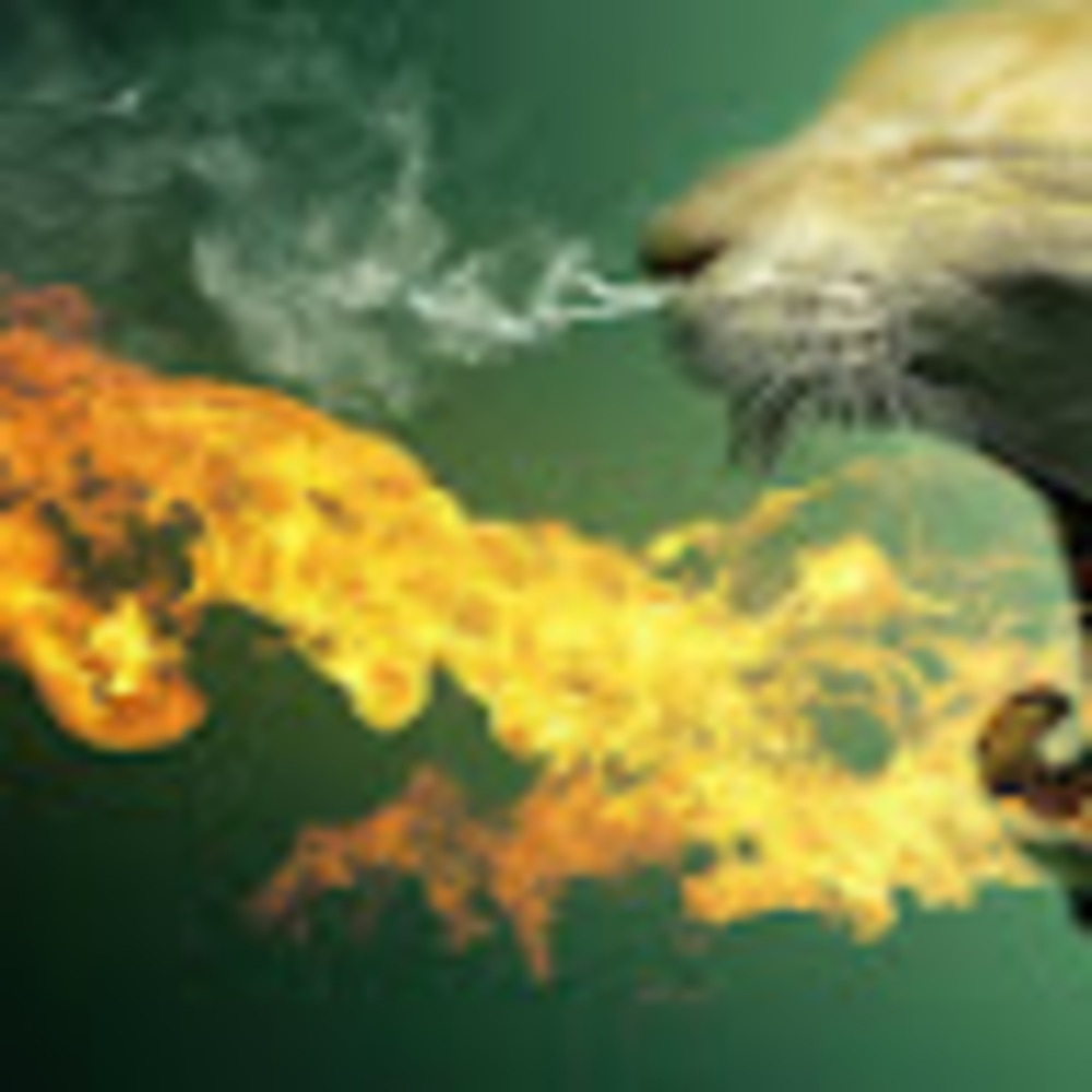 Meet your Posher, Dakini